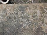 image of grave number 794896